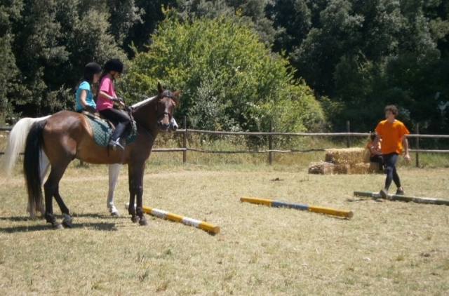Clase de equitación
